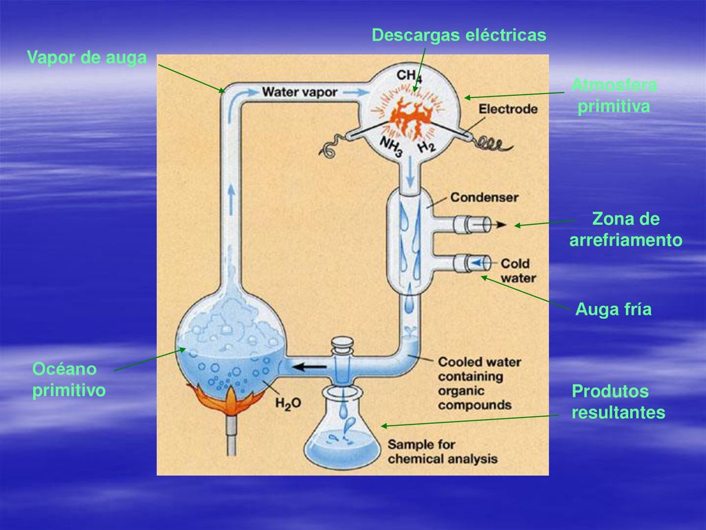 Descargas eléctricas Vapor de auga. Atmosfera primitiva. Zona de arrefriamento. Auga fría. Océano primitivo.