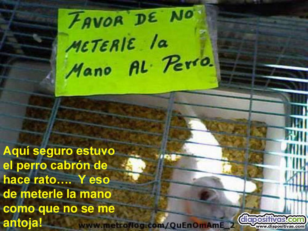 Aquí seguro estuvo el perro cabrón de. hace rato…. Y eso. de meterle la mano. como que no se me.