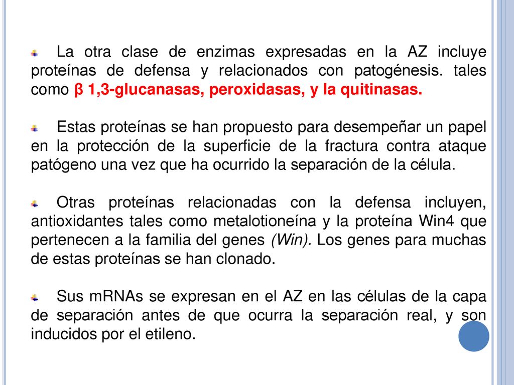 La otra clase de enzimas expresadas en la AZ incluye proteínas de defensa y relacionados con patogénesis. tales como β 1,3-glucanasas, peroxidasas, y la quitinasas.