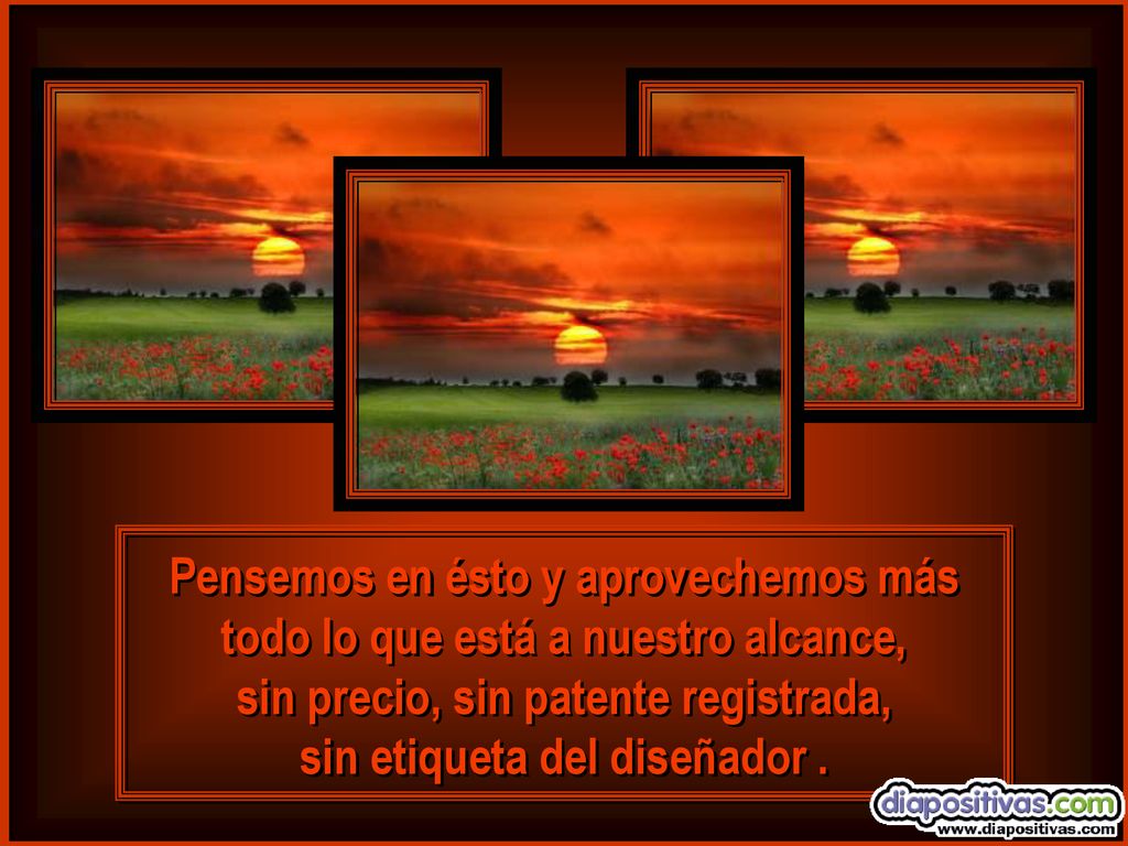 sin precio, sin patente registrada, sin etiqueta del diseñador .