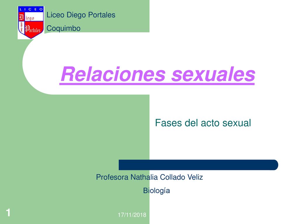 Relaciones sexuales Fases del acto sexual Liceo Diego Portales