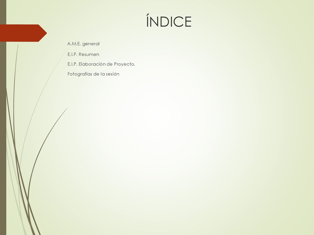 ÍNDICE A.M.E. general E.I.P. Resumen E.I.P. Elaboración de Proyecto.