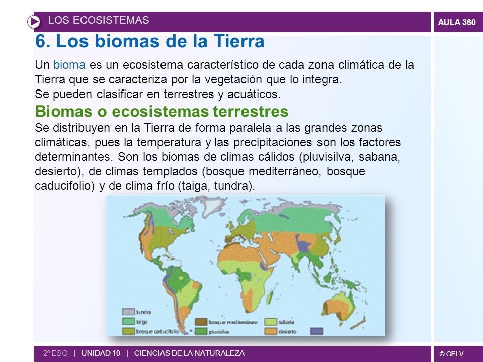 6. Los biomas de la Tierra Biomas o ecosistemas terrestres