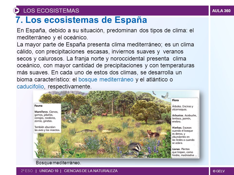 7. Los ecosistemas de España