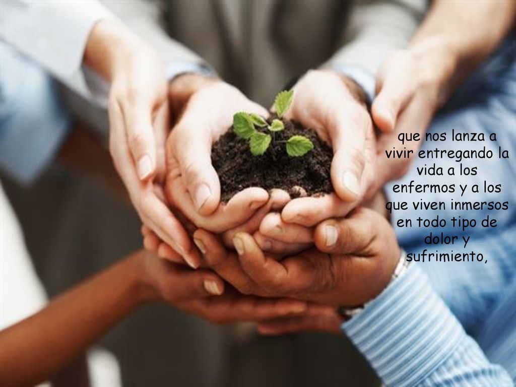 que nos lanza a vivir entregando la vida a los enfermos y a los que viven inmersos en todo tipo de dolor y sufrimiento,