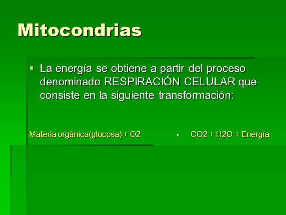 Mitocondrias La energía se obtiene a partir del proceso denominado RESPIRACIÓN CELULAR que consiste en la siguiente transformación: