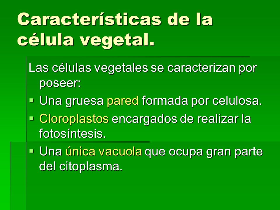 Características de la célula vegetal.