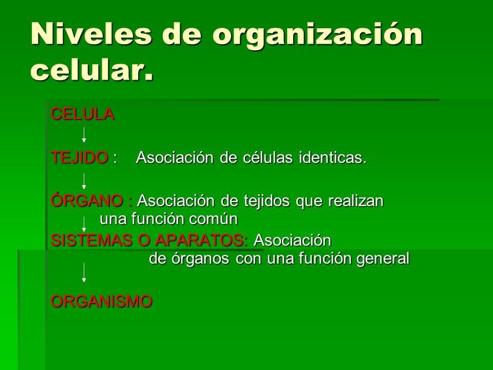 Niveles de organización celular.