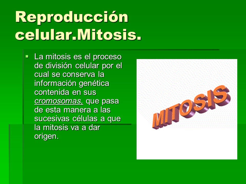Reproducción celular.Mitosis.