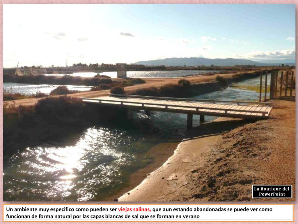 Un ambiente muy especifico como pueden ser viejas salinas, que aun estando abandonadas se puede ver como funcionan de forma natural por las capas blancas de sal que se forman en verano