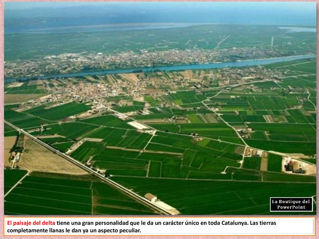 El paisaje del delta tiene una gran personalidad que le da un carácter único en toda Catalunya.