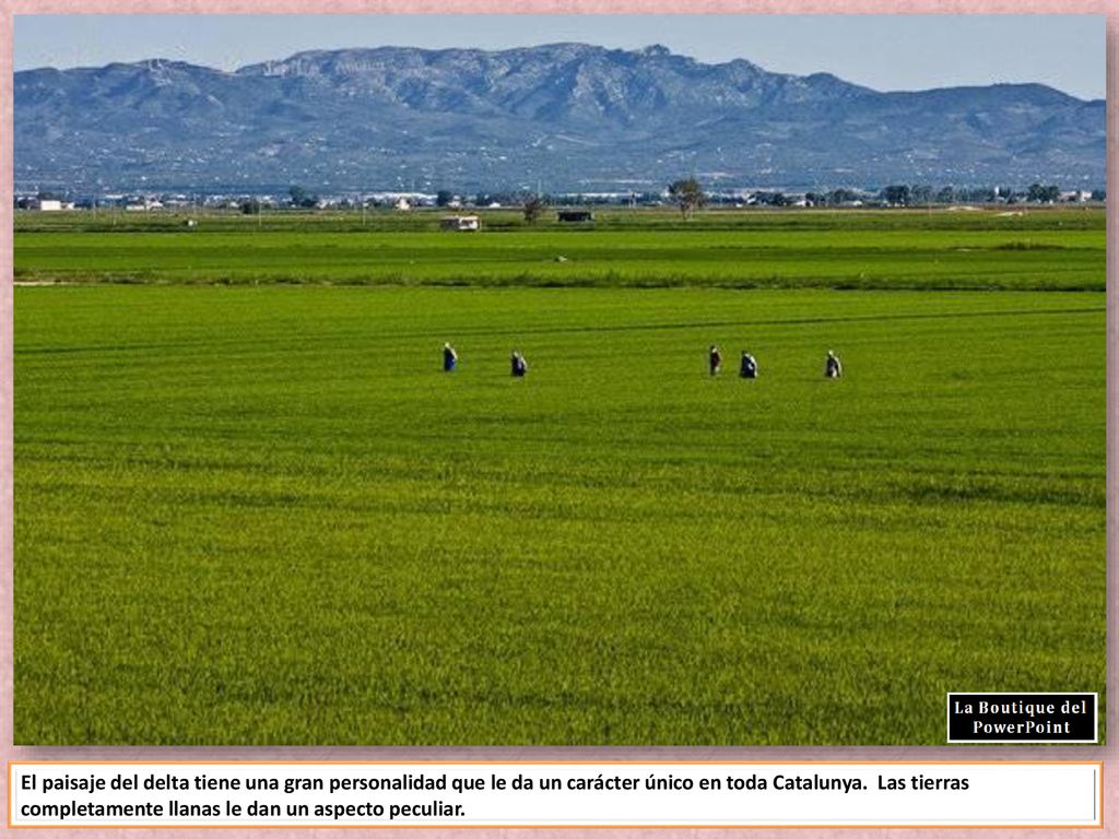 El paisaje del delta tiene una gran personalidad que le da un carácter único en toda Catalunya.