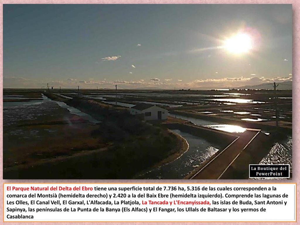 El Parque Natural del Delta del Ebro tiene una superficie total de 7