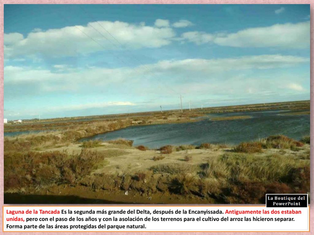 Laguna de la Tancada Es la segunda más grande del Delta, después de la Encanyissada.