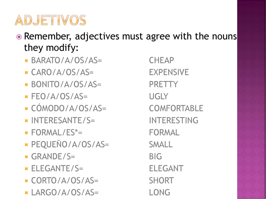 ADJETIVOS Remember, adjectives must agree with the nouns they modify: