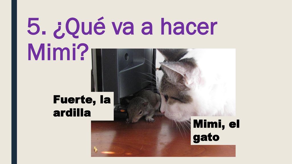 5. ¿Qué va a hacer Mimi Fuerte, la ardilla Mimi, el gato