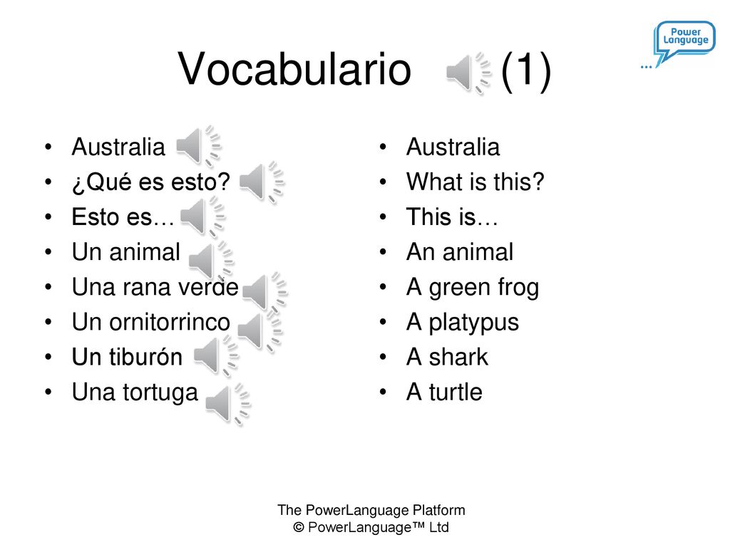 Vocabulario (1) Australia ¿Qué es esto Esto es… Un animal
