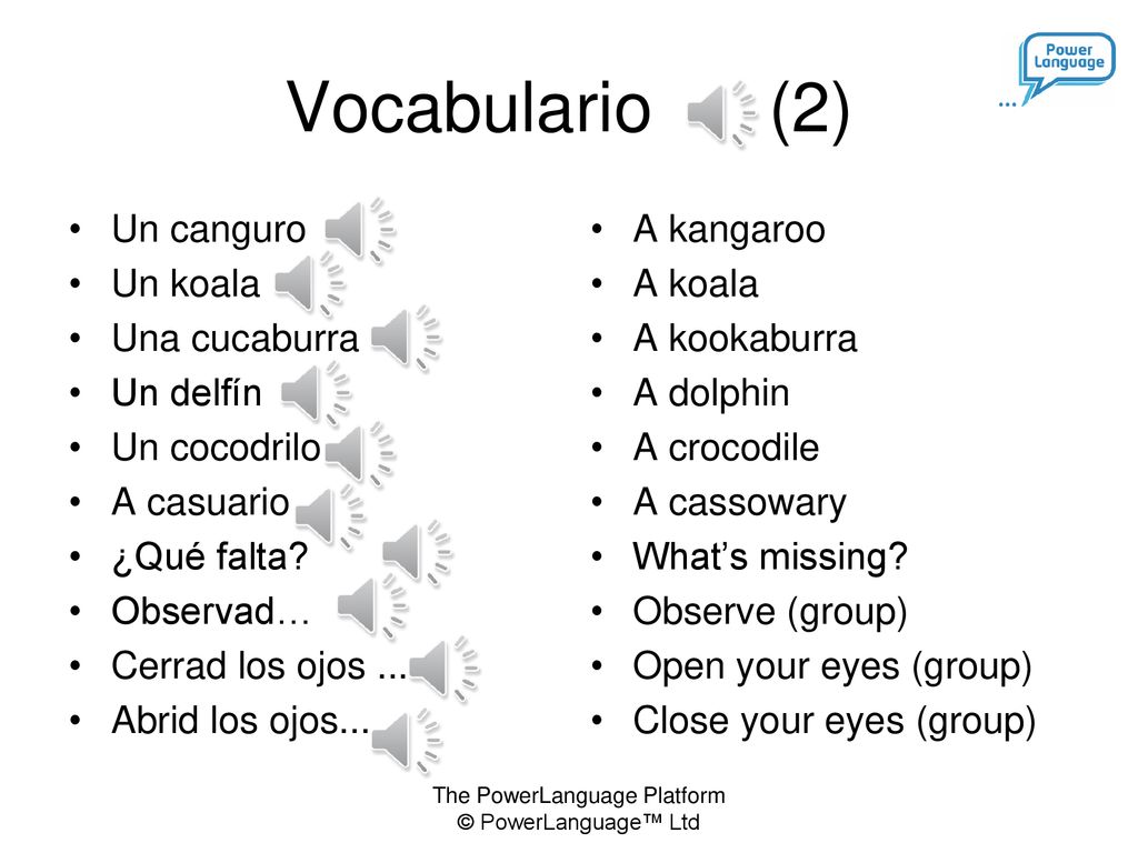 Vocabulario (2) Un canguro Un koala Una cucaburra Un delfín