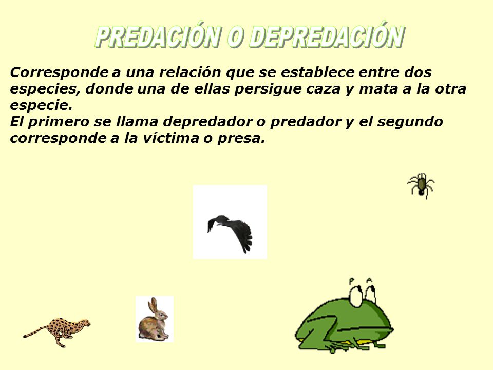 PREDACIÓN O DEPREDACIÓN