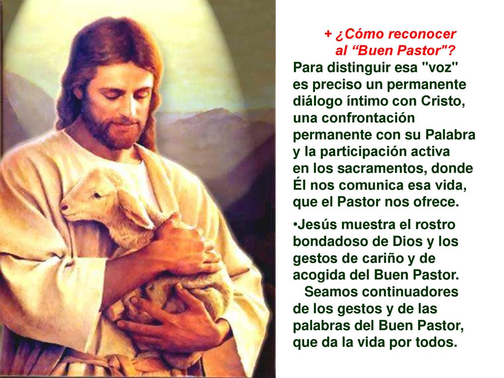 + ¿Cómo reconocer al Buen Pastor Para distinguir esa voz es preciso un permanente diálogo íntimo con Cristo,