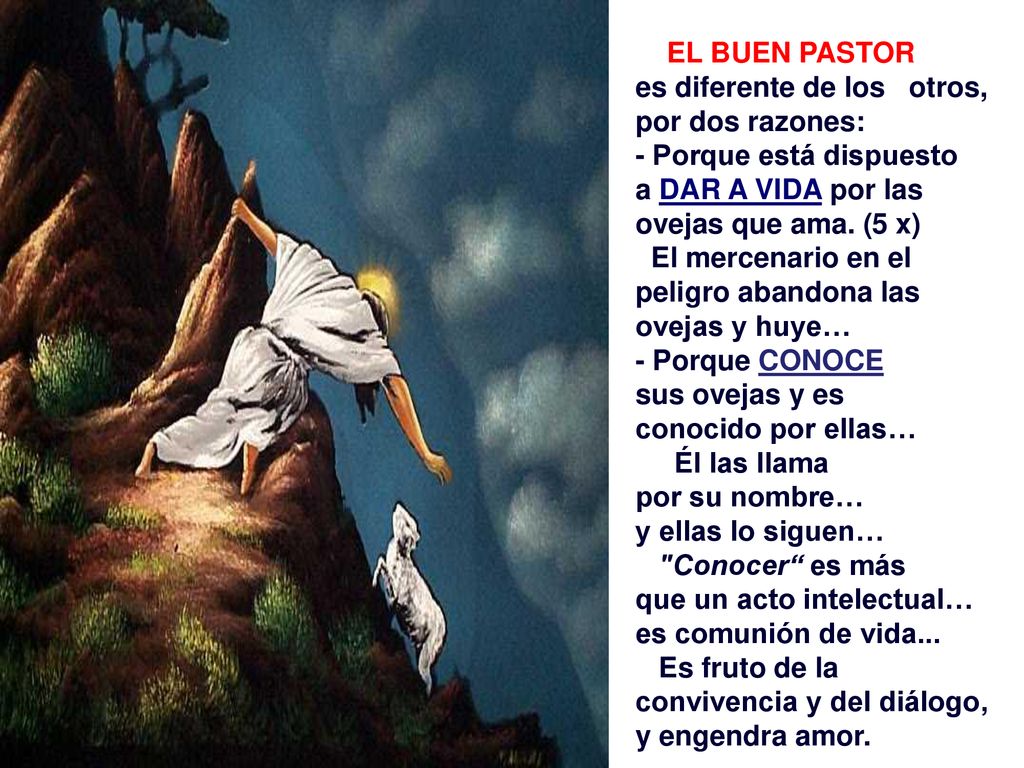 EL BUEN PASTOR es diferente de los otros, por dos razones: - Porque está dispuesto. a DAR A VIDA por las.