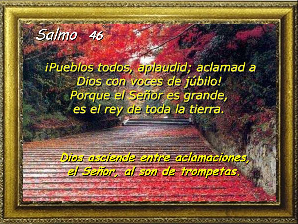 Dios asciende entre aclamaciones, el Señor, al son de trompetas.