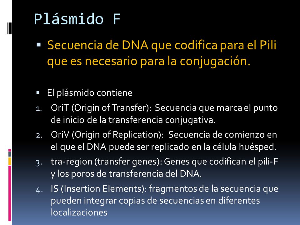 Plásmido F Secuencia de DNA que codifica para el Pili que es necesario para la conjugación. El plásmido contiene.