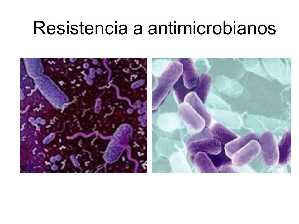 Resistencia a antimicrobianos