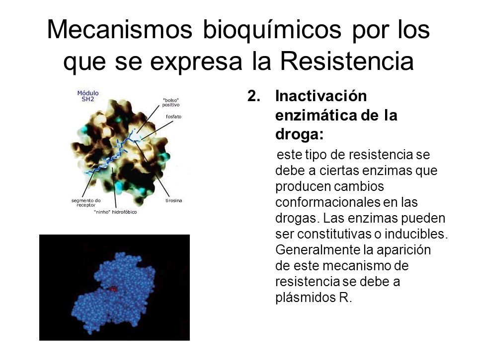 Mecanismos bioquímicos por los que se expresa la Resistencia