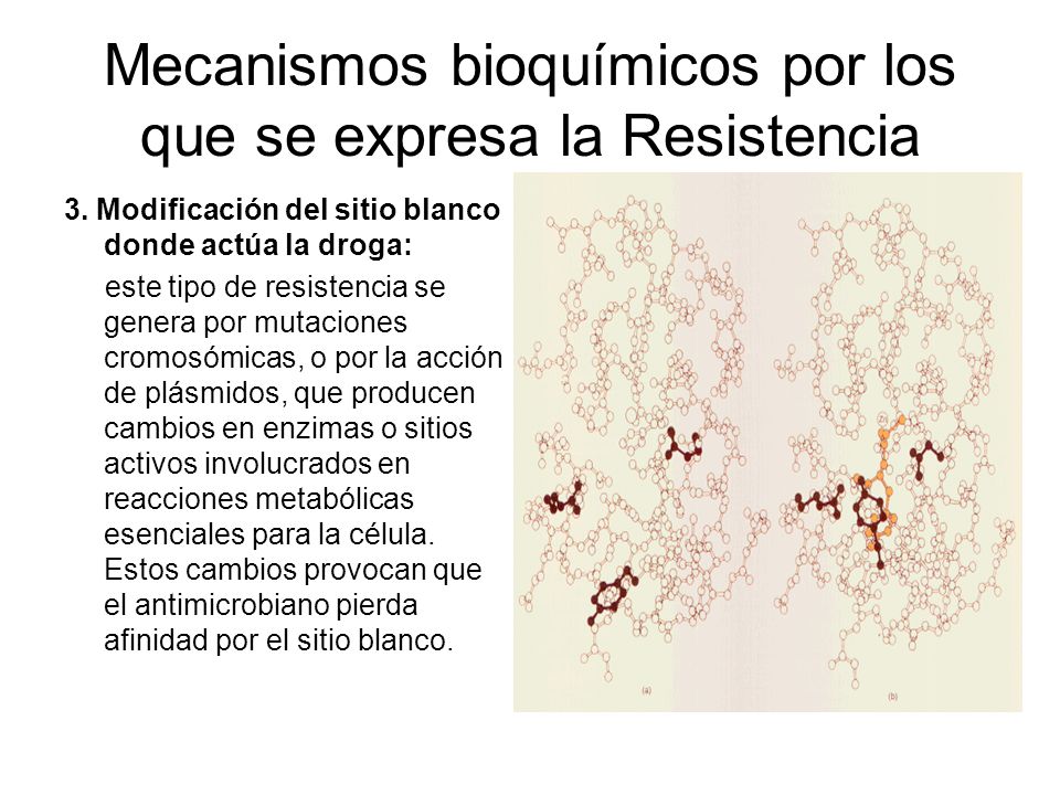 Mecanismos bioquímicos por los que se expresa la Resistencia