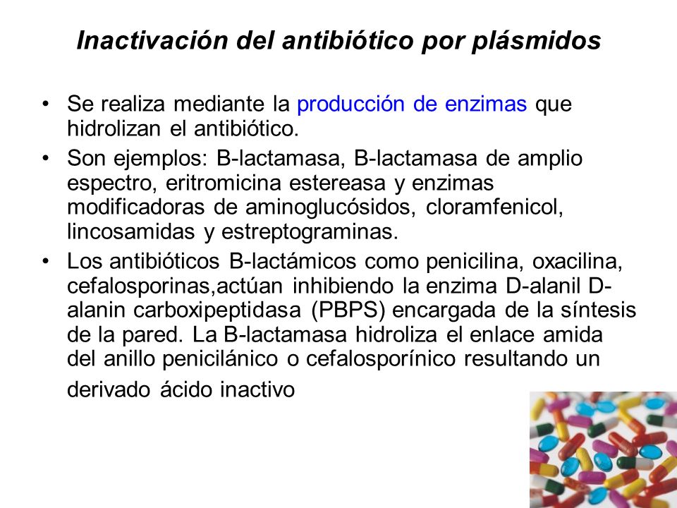 Inactivación del antibiótico por plásmidos