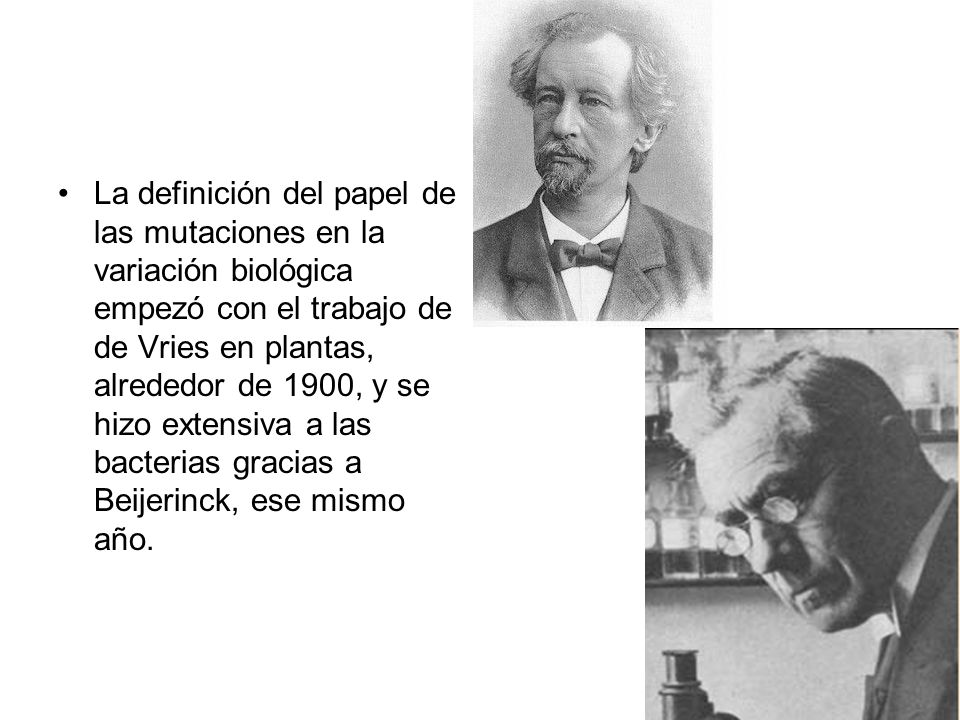 La definición del papel de las mutaciones en la variación biológica empezó con el trabajo de de Vries en plantas, alrededor de 1900, y se hizo extensiva a las bacterias gracias a Beijerinck, ese mismo año.