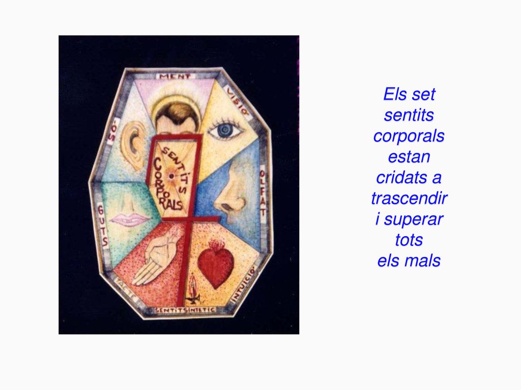 Els set sentits corporals estan cridats a trascendir i superar tots els mals