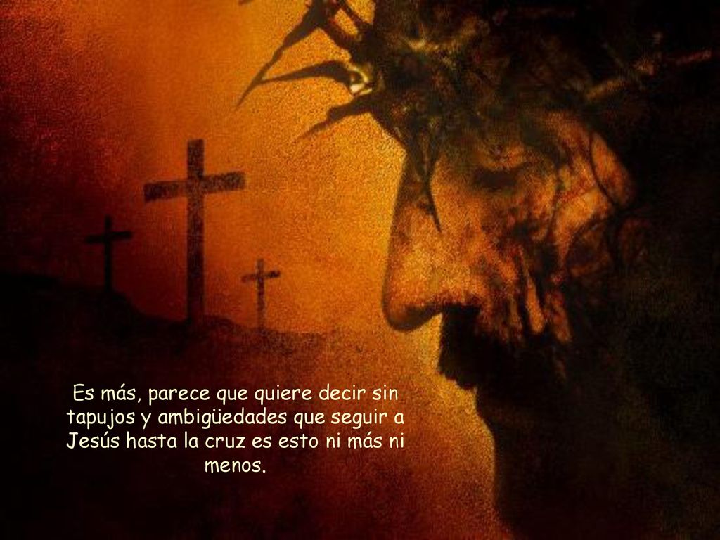 Es más, parece que quiere decir sin tapujos y ambigüedades que seguir a Jesús hasta la cruz es esto ni más ni menos.