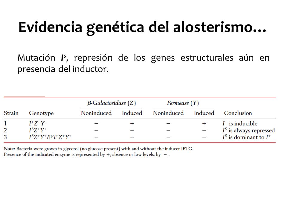 Evidencia genética del alosterismo…
