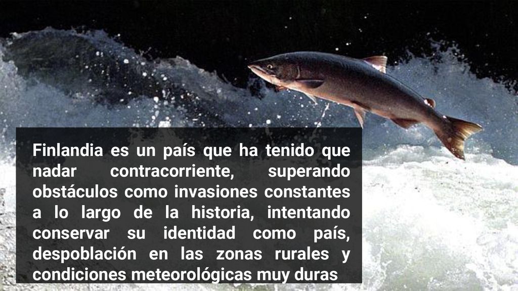 Finlandia es un país que ha tenido que nadar contracorriente, superando obstáculos como invasiones constantes a lo largo de la historia, intentando conservar su identidad como país, despoblación en las zonas rurales y condiciones meteorológicas muy duras