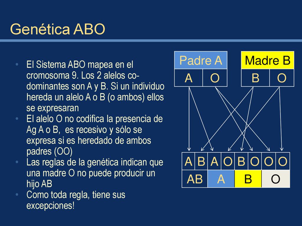 Genética ABO Padre A A O Madre B B O A B O AB