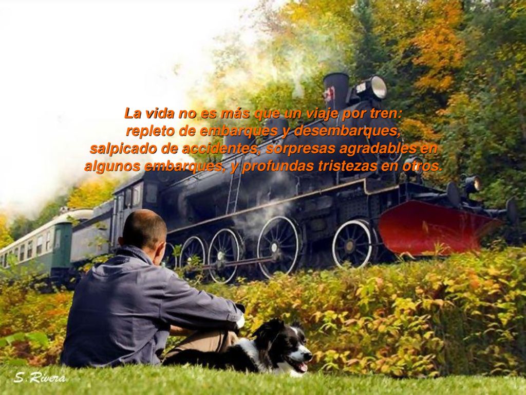 La vida no es más que un viaje por tren: