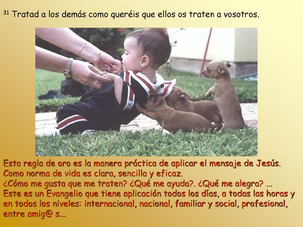 31 Tratad a los demás como queréis que ellos os traten a vosotros.