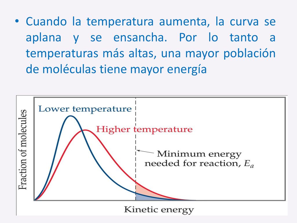 Cuando la temperatura aumenta, la curva se aplana y se ensancha