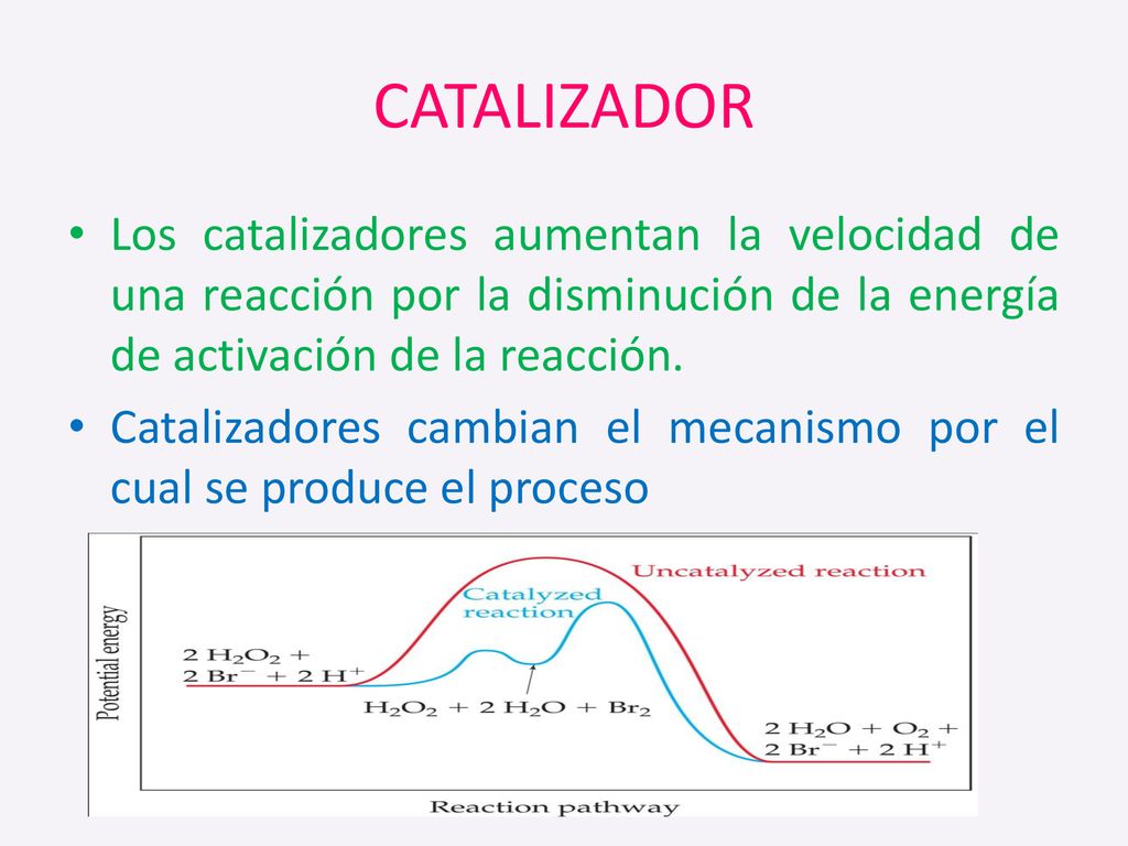 CATALIZADOR Los catalizadores aumentan la velocidad de una reacción por la disminución de la energía de activación de la reacción.
