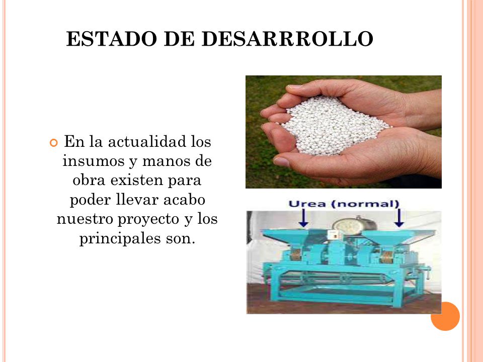ESTADO DE DESARRROLLO En la actualidad los insumos y manos de obra existen para poder llevar acabo nuestro proyecto y los principales son.