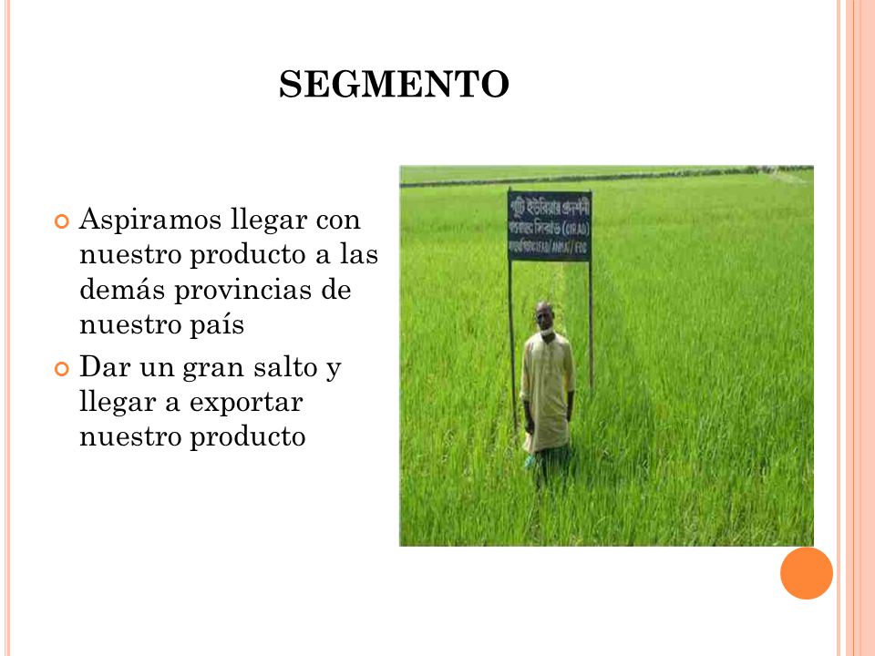 SEGMENTO Aspiramos llegar con nuestro producto a las demás provincias de nuestro país.