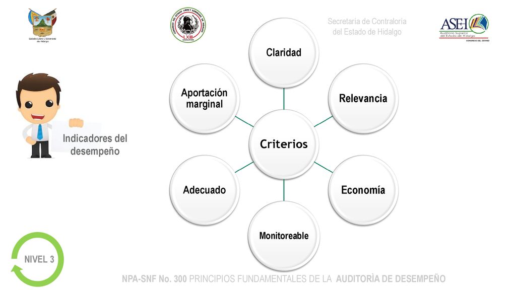 NPA-SNF No. 300 PRINCIPIOS FUNDAMENTALES DE LA AUDITORÌA DE DESEMPEÑO