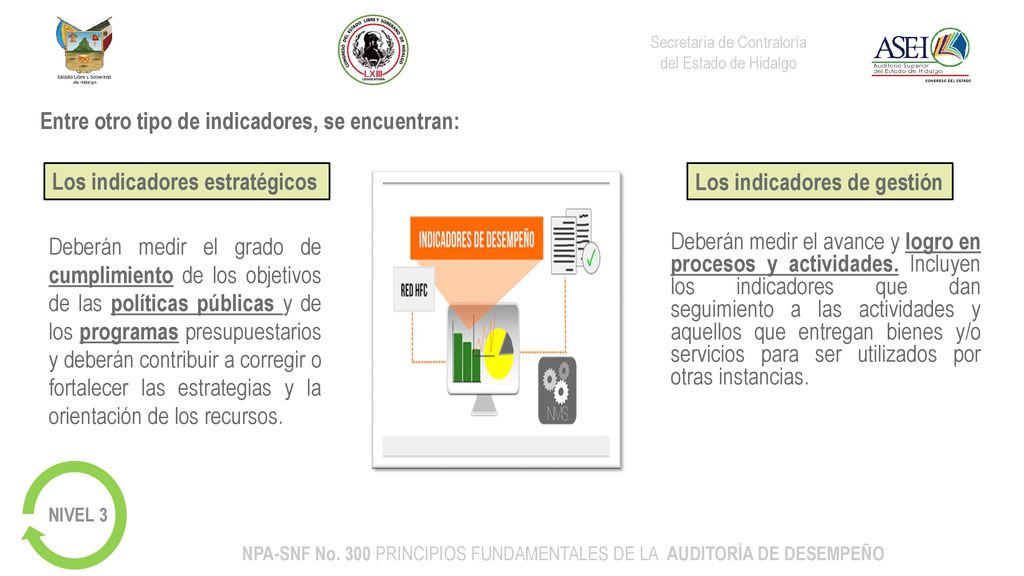 NPA-SNF No. 300 PRINCIPIOS FUNDAMENTALES DE LA AUDITORÌA DE DESEMPEÑO