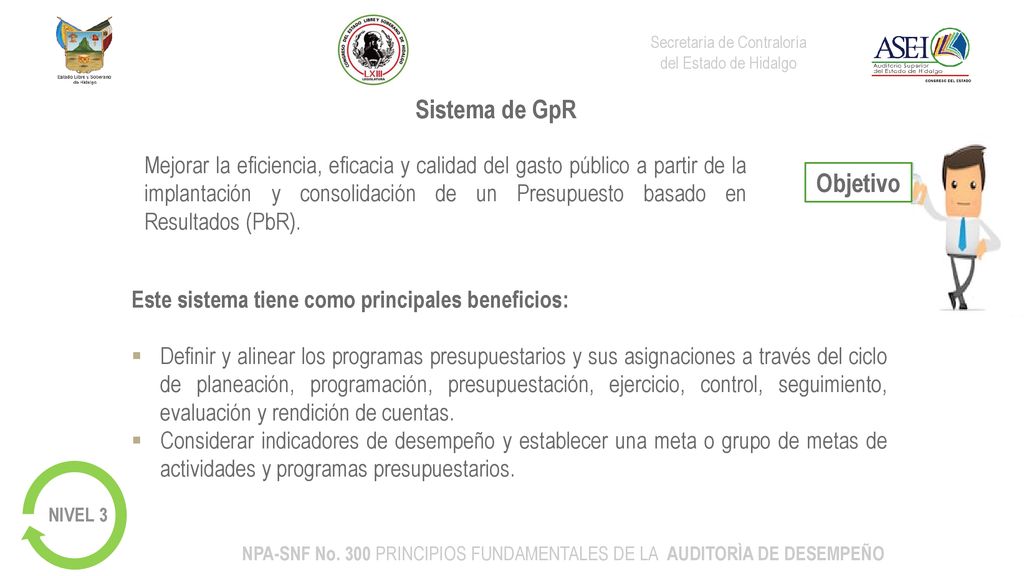 NPA-SNF No. 300 PRINCIPIOS FUNDAMENTALES DE LA AUDITORÌA DE DESEMPEÑO