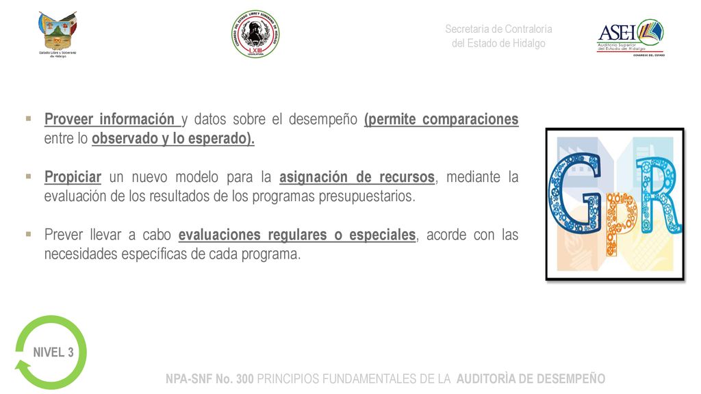 NPA-SNF No. 300 PRINCIPIOS FUNDAMENTALES DE LA AUDITORÌA DE DESEMPEÑO