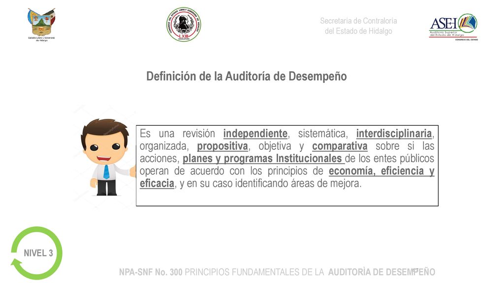 NPA-SNF No. 300 PRINCIPIOS FUNDAMENTALES DE LA AUDITORÌA DE DESEMPEÑO