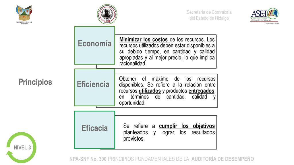 NPA-SNF No. 300 PRINCIPIOS FUNDAMENTALES DE LA AUDITORÌA DE DESEMPEÑO