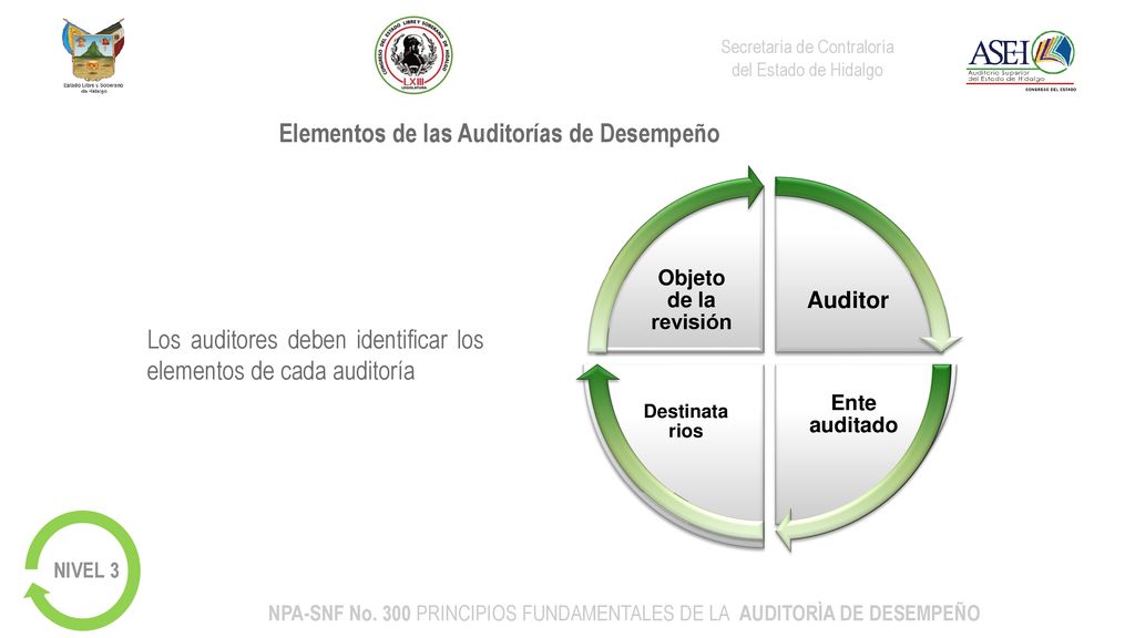 NPA-SNF No. 300 PRINCIPIOS FUNDAMENTALES DE LA AUDITORÌA DE DESEMPEÑO